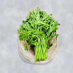 Best Crown Daisy 茼蒿 in Somerset, NJ