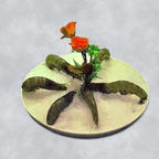 Best Head-on Shrimp 有头虾 in Somerset, NJ