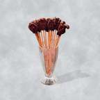 Best House Special Chicken Gizzards Skewers 小郡肝串 in Somerset, NJ