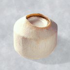 Best Ice Coconut Jelly 香滑椰子冻 in Somerset, NJ